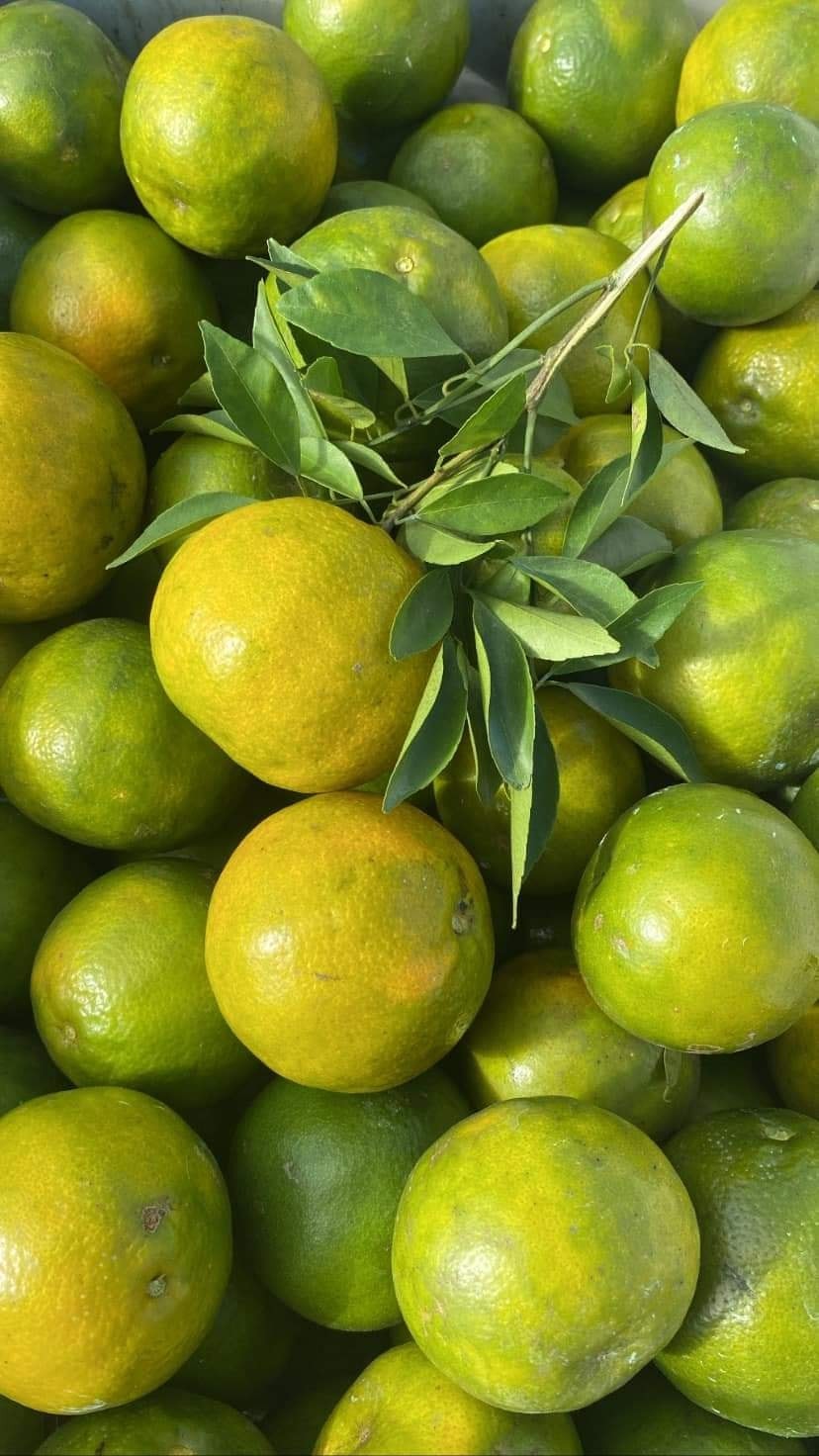 messageImage 1757124102765