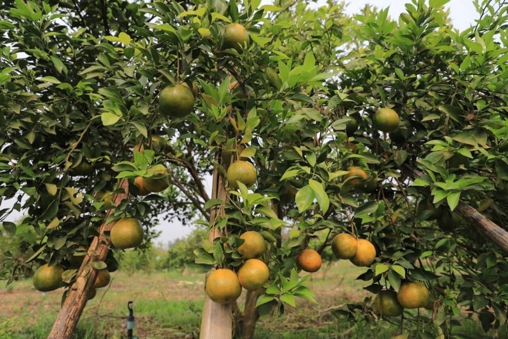 messageImage 1757124114199