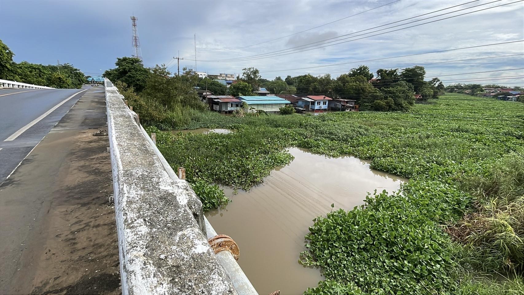 กรมชลประทานผักไห่ เร่งกำจัด‘ผักตบชวา’ ในแม่น้ำน้อย 3 messageImage 1757996754924