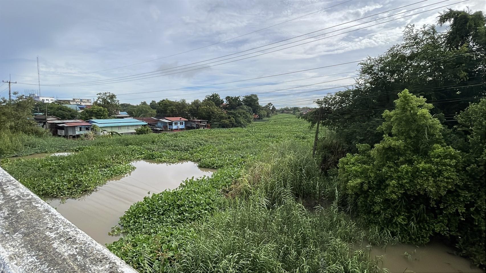 กรมชลประทานผักไห่ เร่งกำจัด‘ผักตบชวา’ ในแม่น้ำน้อย 4 messageImage 1757996774936