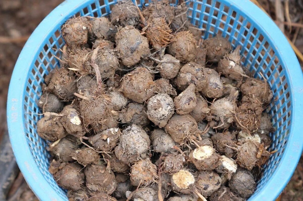 messageImage 1758007681214