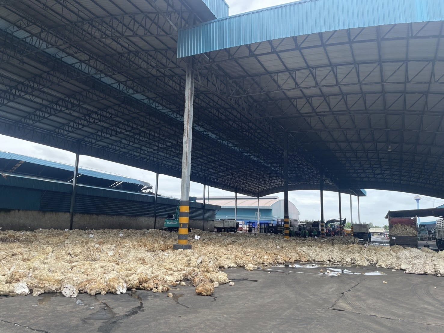 กยท. ลุยตลาดยางก้อนถ้วย บรรลุข้อตกลงจ้าง “นอร์ทอีส รับเบอร์” ผลิตเบื้องต้นเดือนละ 15,000 ตัน เริ่ม 1 ตุลาคม นี้ 10 messageImage 1758621386683