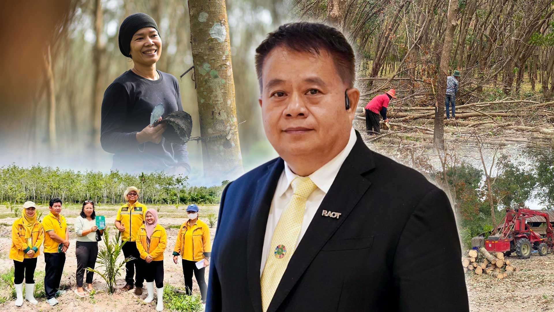 กยท. ทุ่มงบ 2,800 ล้านบาท ช่วยชาวสวนยางที่ยื่นขอโค่นยางฯ ด้วยทุนตนเองไว้แล้ว พร้อมจ่ายครบ ภายใน 15 ก.ย. นี้ 1 กยททุ่มงบ3