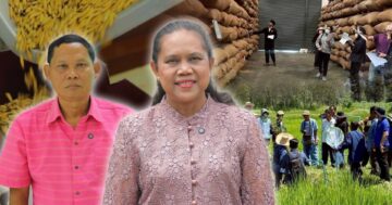 กรมการข้าวย้ำ คุณภาพเมล็ดพันธุ์3