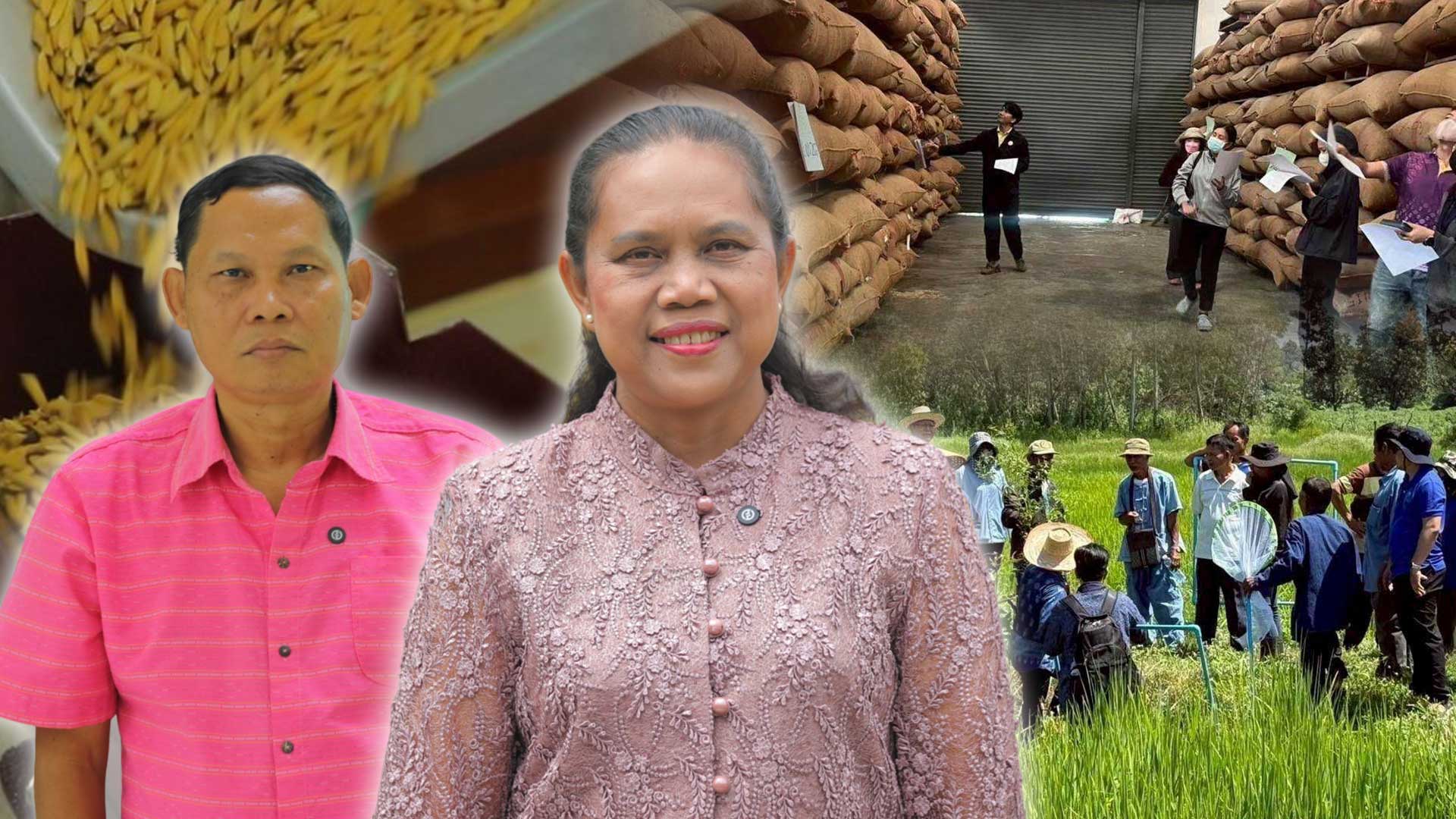 กรมการข้าว ย้ำ คุณภาพเมล็ดพันธุ์ ศูนย์เมล็ดพันธุ์ข้าวอุบลราชธานี มั่นใจเกษตรกรได้พันธุ์แท้ แข็งแรง ผลผลิตมั่นคง 1 กรมการข้าวย้ำ คุณภาพเมล็ดพันธุ์3