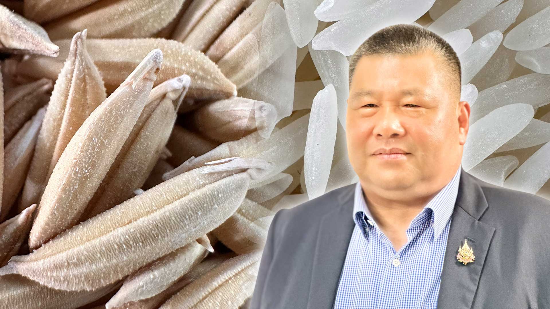 อธิบดีกรมการข้าว เผยข่าวดี กรมการข้าว คลอดพันธุ์ข้าว 4 พันธุ์ใหม่ ชูคุณภาพดี ให้ผลผลิตสูง ตรงตามความต้องการของชาวนาและผู้บริโภค 1 กรมการข้าวเปิดตัว3