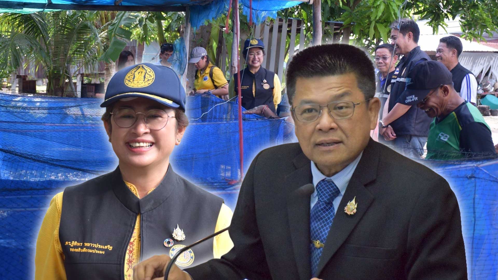 กรมประมง ส่งเสริมเกษตรกร จ.ชัยนาท เลี้ยงกบนาสร้างอาชีพเสริม เพิ่มรายได้ ระหว่างพักชำระหนี้กับ ธ.ก.ส. 1 กรมประมงส่งเสริมเกษตรกร3