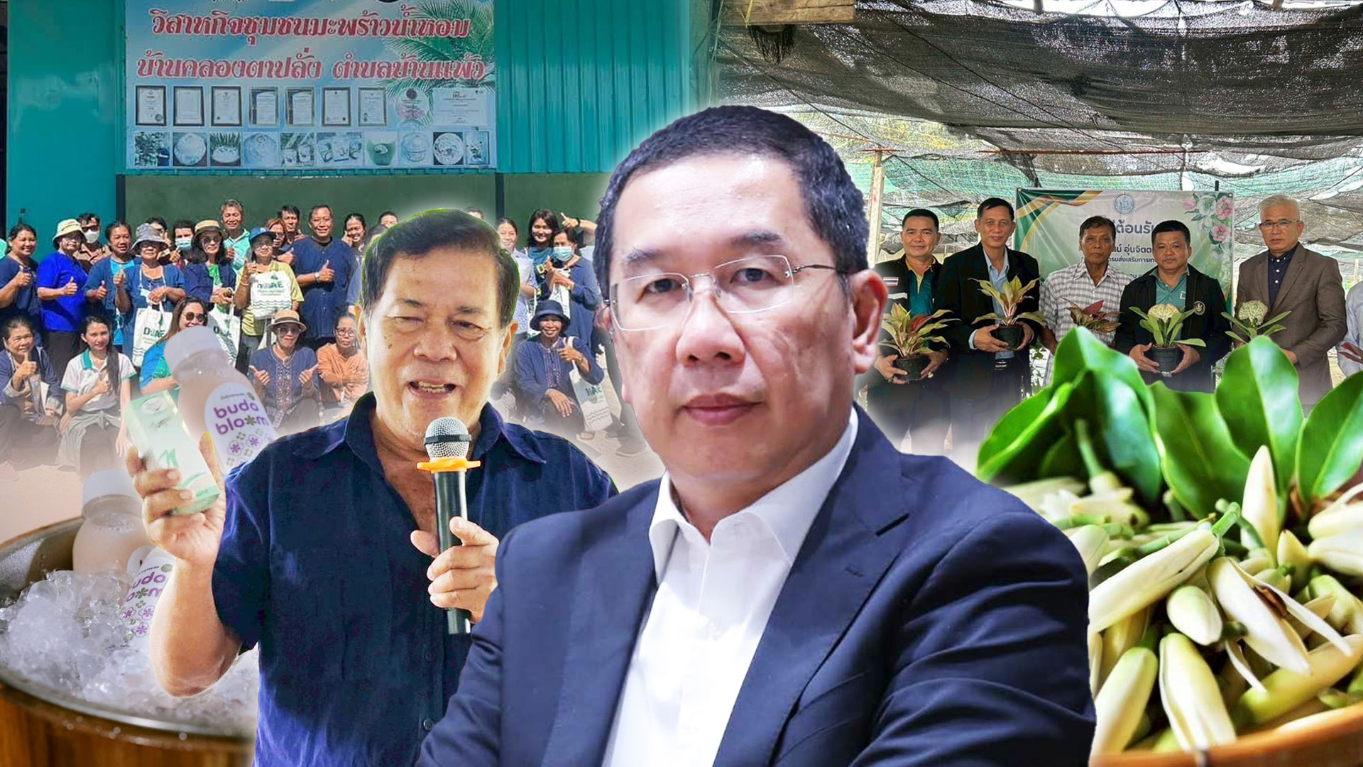 กรมส่งเสริมการเกษตรเผยผลสำเร็จเกษตรมูลค่าสูง ปี 2568 รายได้เฉลี่ย 2.88 เท่า เดินหน้าต่อเนื่องสู่ปี 2569 สู่เป้าหมายเกษตรกรมีรายได้เพิ่มขึ้น 3 เท่า ในปี 2570 1 กรมส่งเสริมการเกษตร2