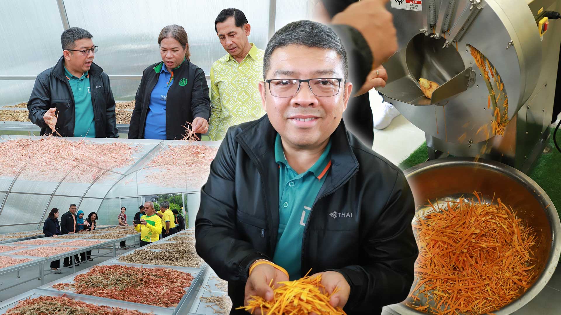 กรมส่งเสริมการเกษตร ร่วมกับ โครงการความร่วมมือระหว่างเยอรมัน – ไทยฯ พร้อมผลักดันให้จังหวัดสตูลเป็นเมืองสมุนไพร ยกระดับการปลูกสมุนไพรคุณภาพเพื่อการเภสัชกรรม ด้วยนวัตกรรมการปลูกขมิ้นชันในกระสอบ 1 กสก3