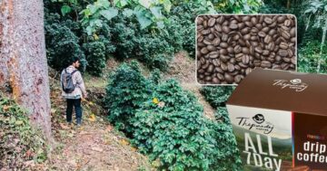 กาแฟเทพเสด็จ3