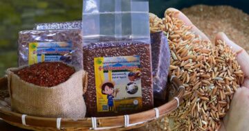 ขึ้นทะเบียน GI2