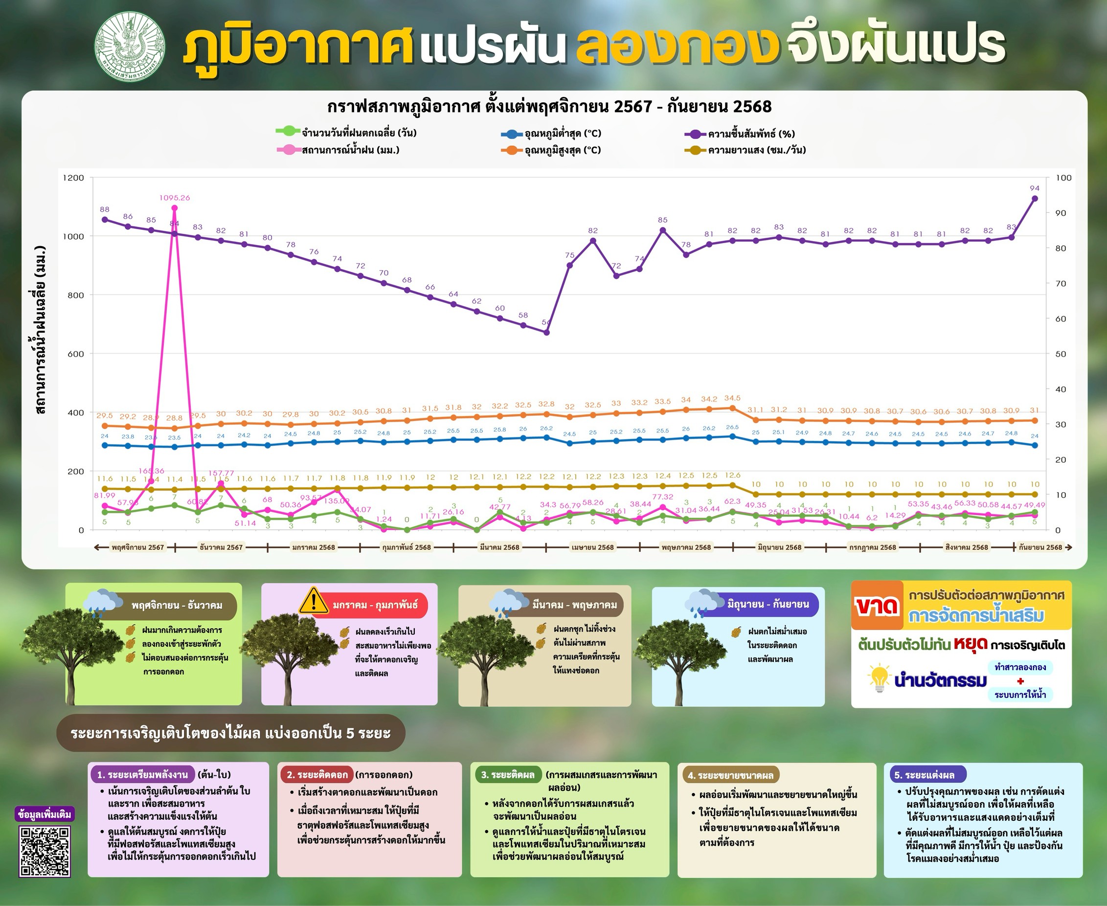 บอร์ด1 3 140968ต