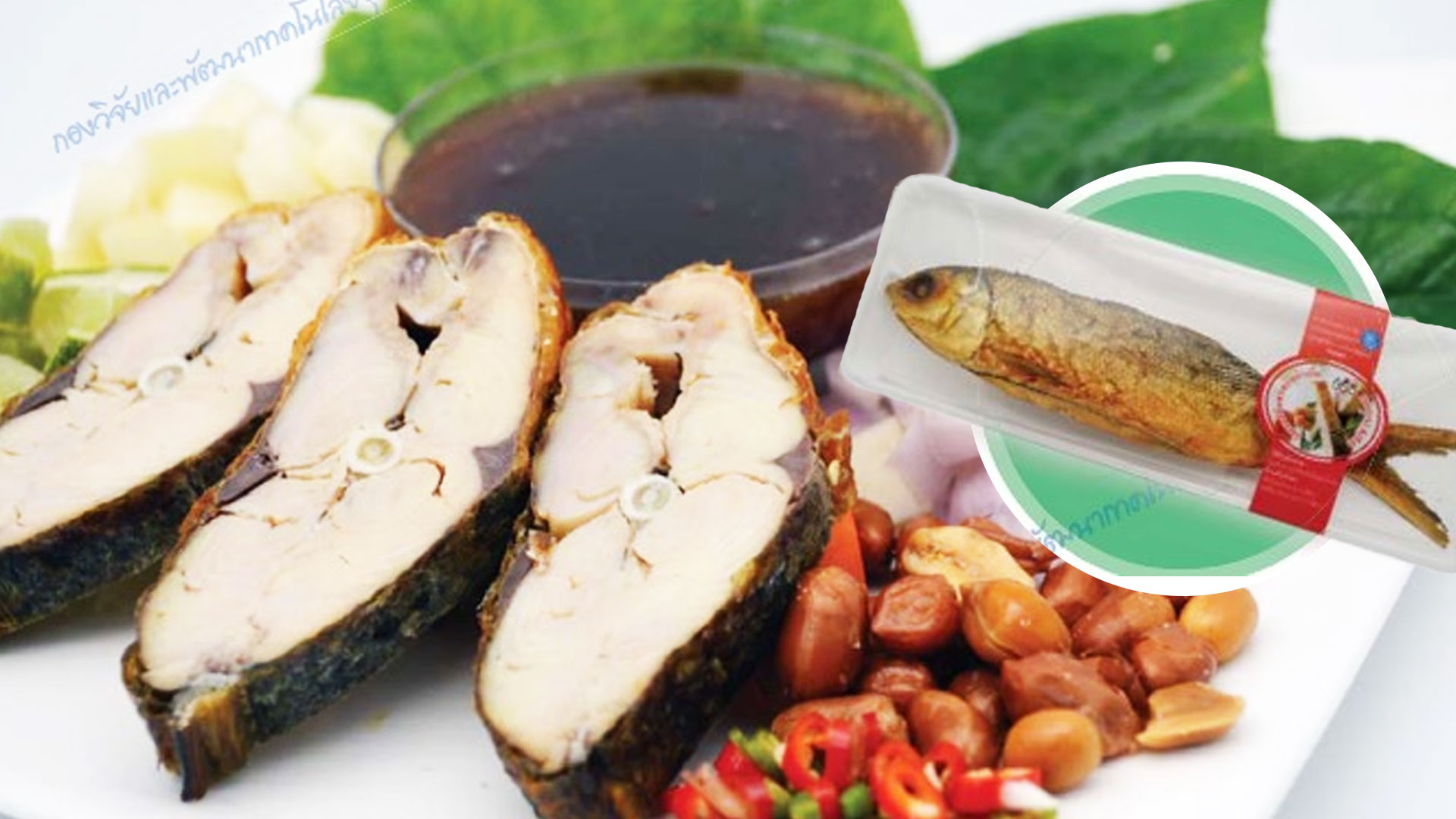 การแปรรูปสัตว์น้ำ (ตอนที่ 3) : ปลารมควัน(แบบก้างนิ่ม) 1 ปลารมควัน2 1