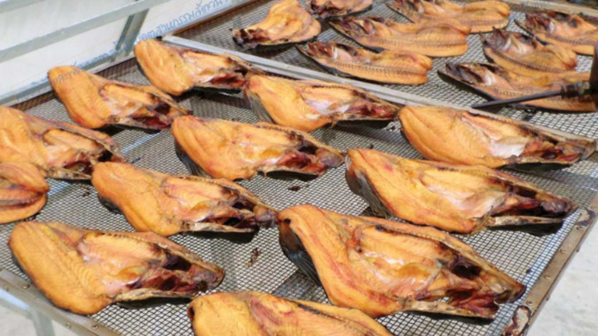 การแปรรูปสัตว์น้ำ (ตอนที่ 1 ): ปลารมควัน3