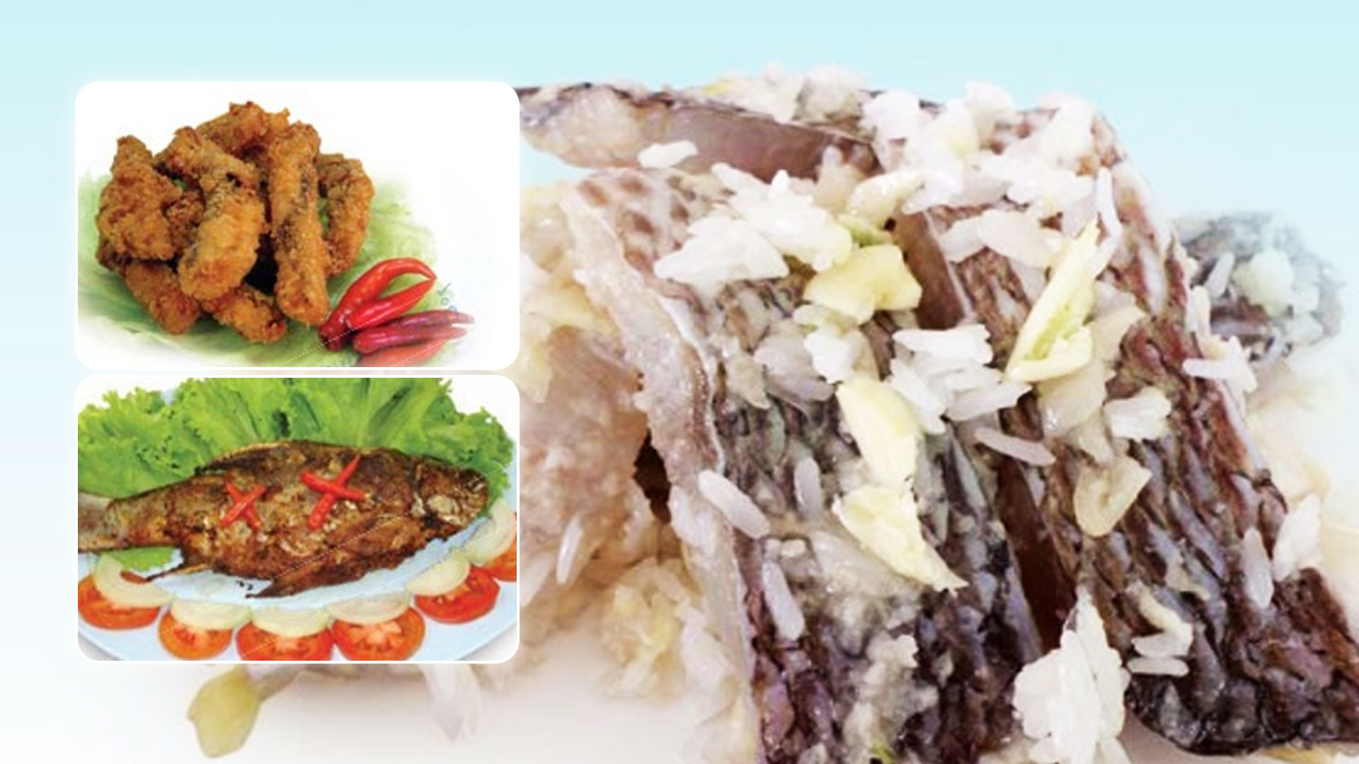 การแปรรูปสัตว์น้ำ ( ตอนที่ 13) : ปลาส้ม 1 ปลาส้ม2