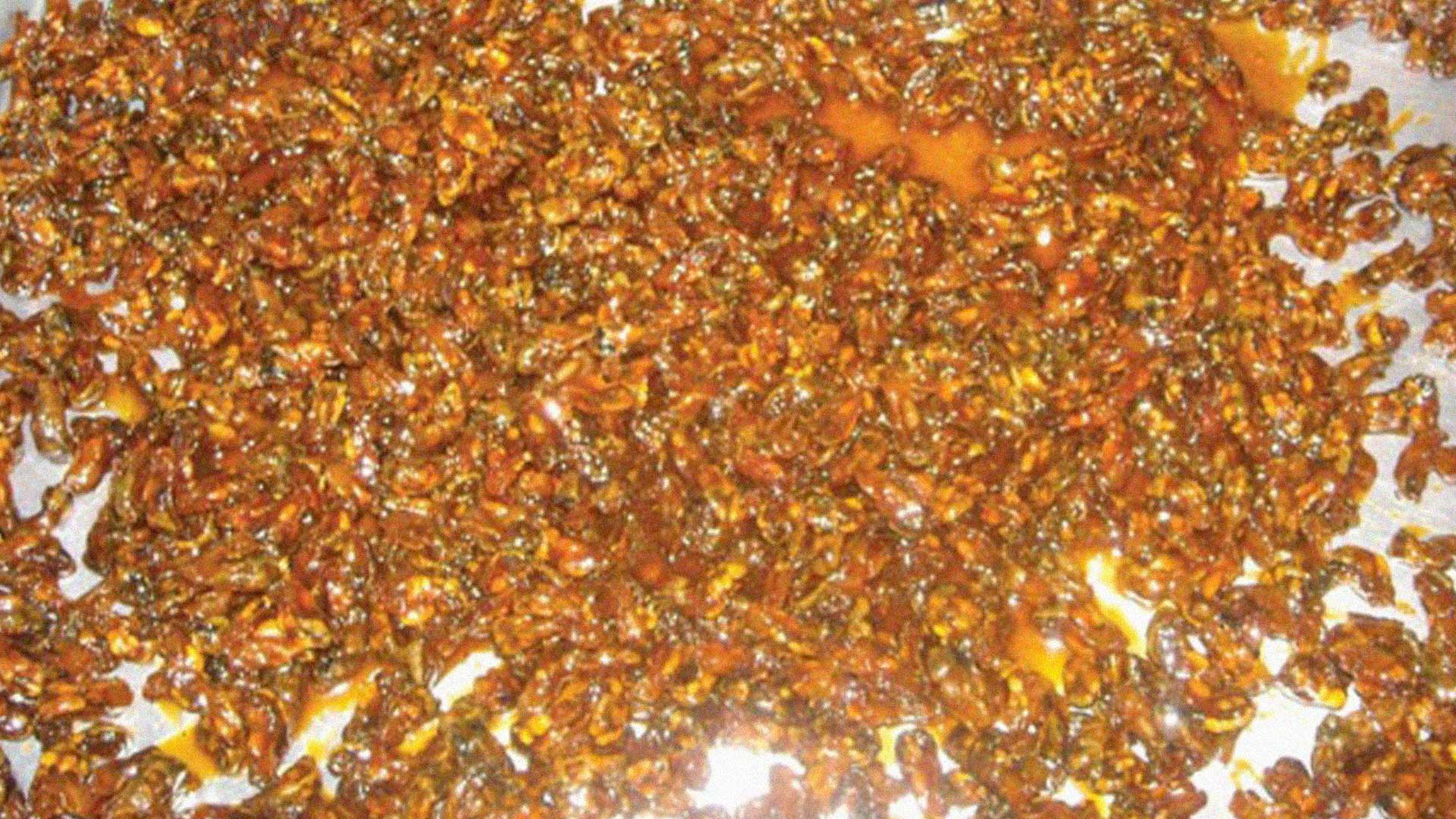 การแปรรูปสัตว์น้ำ ( ตอนที่ 28 ): ปลา/หอย ทอดกรอบสามรส 1 ปลาหอยทอดกรอบสามรส3