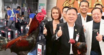 ปศุสัตว์ปลื้ม2