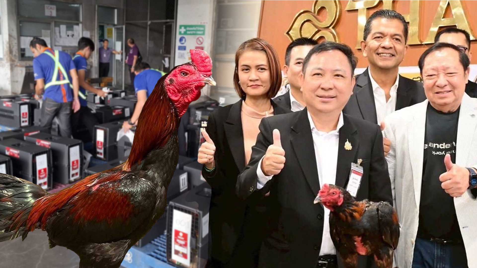 ปศุสัตว์ปลื้ม ดันส่งออก “Ayam Bangkok” ไทยแลนด์สู่อินโดนีเซีย เพิ่มจำนวนต่อเนื่อง 1 ปศุสัตว์ปลื้ม2