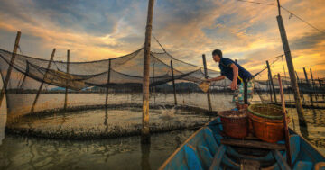 ผู้ประสบภัยพิบัติด้านประมง