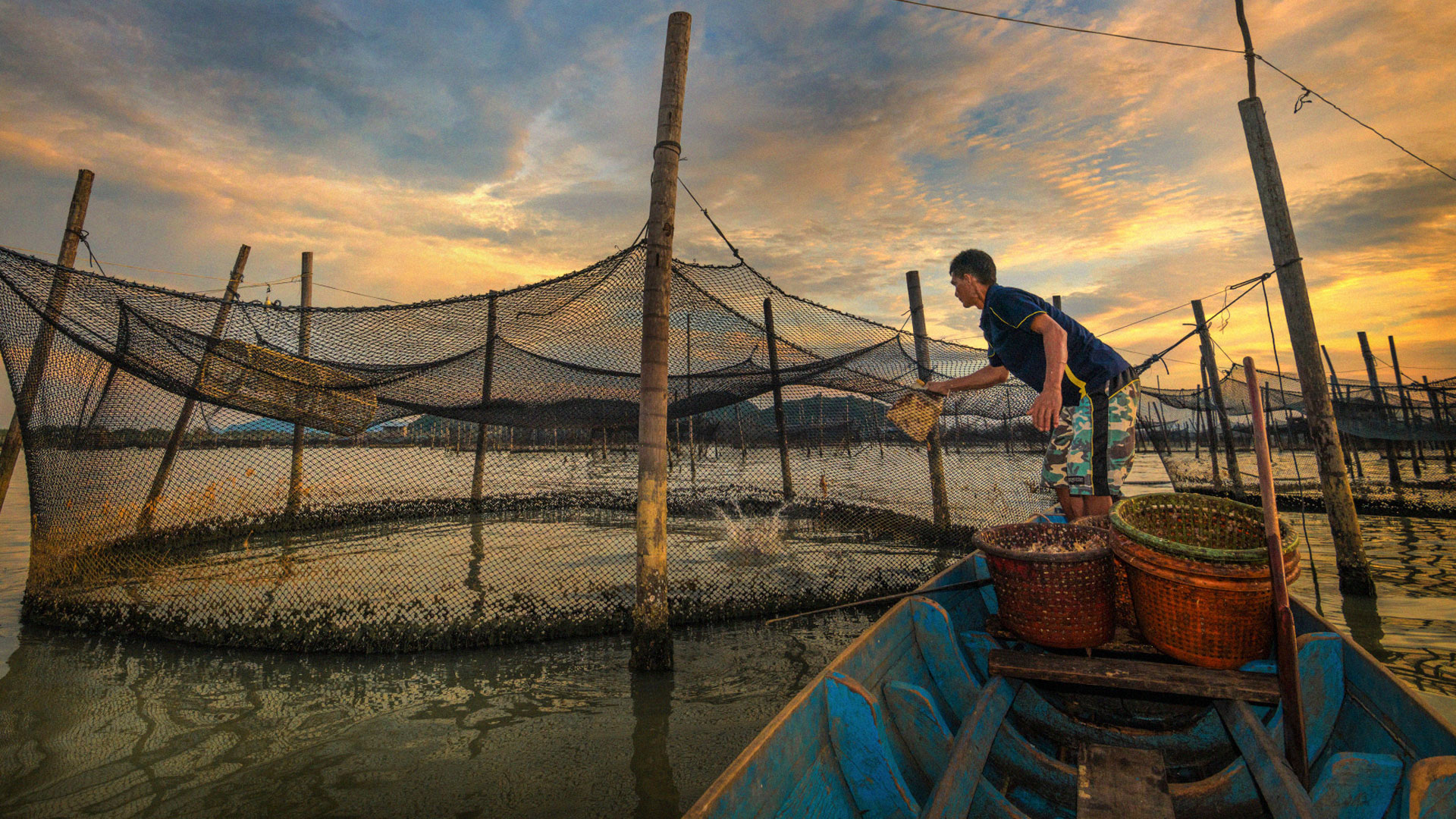 ผู้ประสบภัยพิบัติด้านประมง