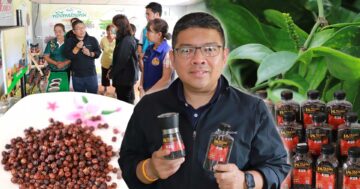 พริกไทยปะเหลียน3