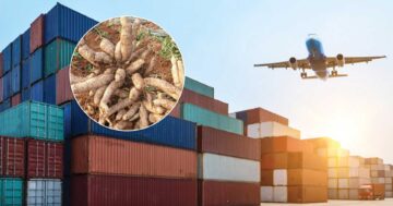 พาณิชย์3