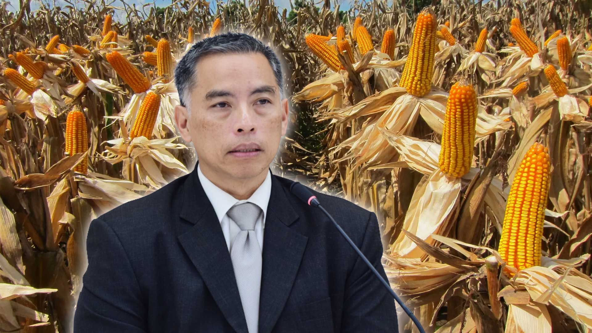 พาณิชย์ย้ำสองมาตรการใหญ่ปี 2569 จะคุมเข้มนำเข้า “ข้าวโพดเลี้ยงสัตว์ปลอดการเผา” ร่วมแก้ฝุ่นพิษข้ามพรมแดนให้คนไทยและคุม“ส่งออกสินค้า DUI ที่เกี่ยวข้องกับนิวเคลียร์” เสริมแกร่งความเชื่อมั่นนักลงทุนโลก 1 พาณิชย์ย้ำสองมาตรการใหญ่3