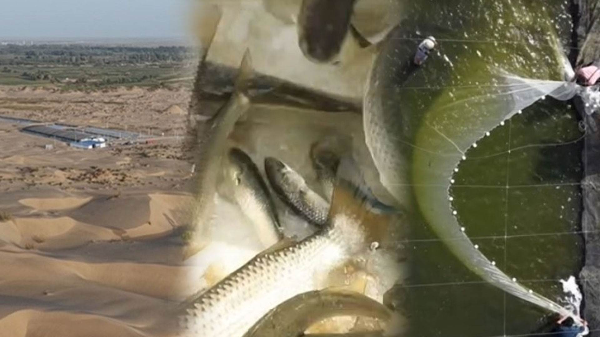 ฟาร์มสัตว์น้ำ2