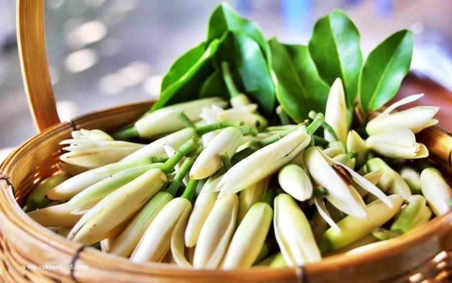 กรมส่งเสริมการเกษตรเผยผลสำเร็จเกษตรมูลค่าสูง ปี 2568 รายได้เฉลี่ย 2.88 เท่า เดินหน้าต่อเนื่องสู่ปี 2569 สู่เป้าหมายเกษตรกรมีรายได้เพิ่มขึ้น 3 เท่า ในปี 2570 9 ภาพกสก9 0