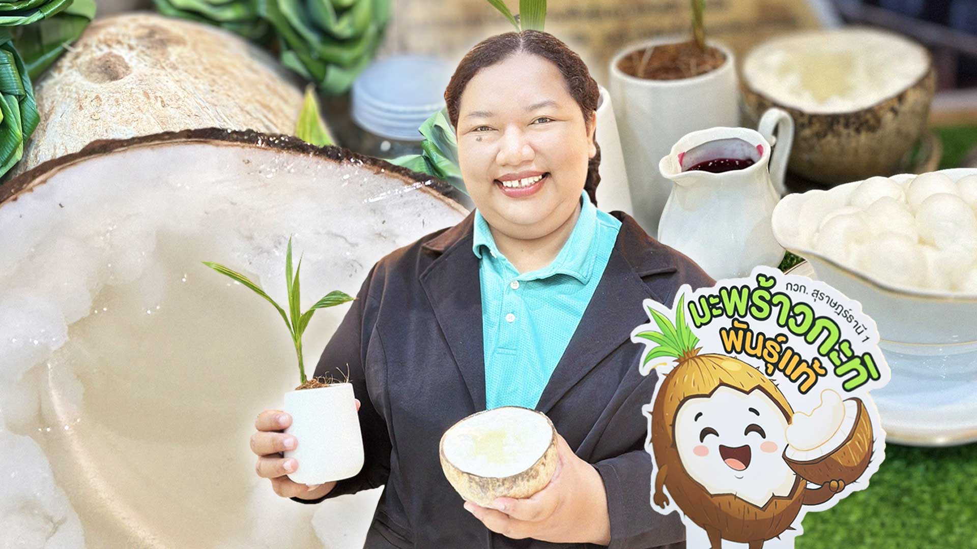 มะพร้าวกะทิพันธุ์แท้2