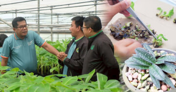 รองอธิบดีกรมส่งเสริมการเกษตร2