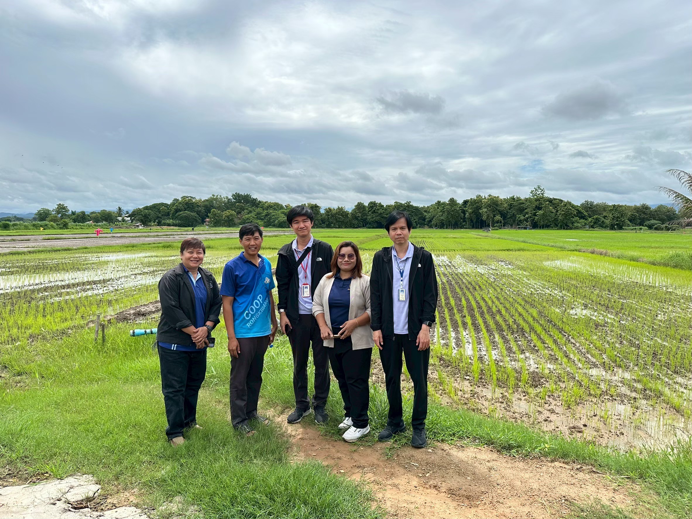 สศก.ชี้โครงการยกระดับมาตรฐานฯ ดันมูลค่าสินค้าเกษตรปลอดภัยเพิ่มขึ้นเกือบ 20% 10 รูปรวมแปลงข้าว