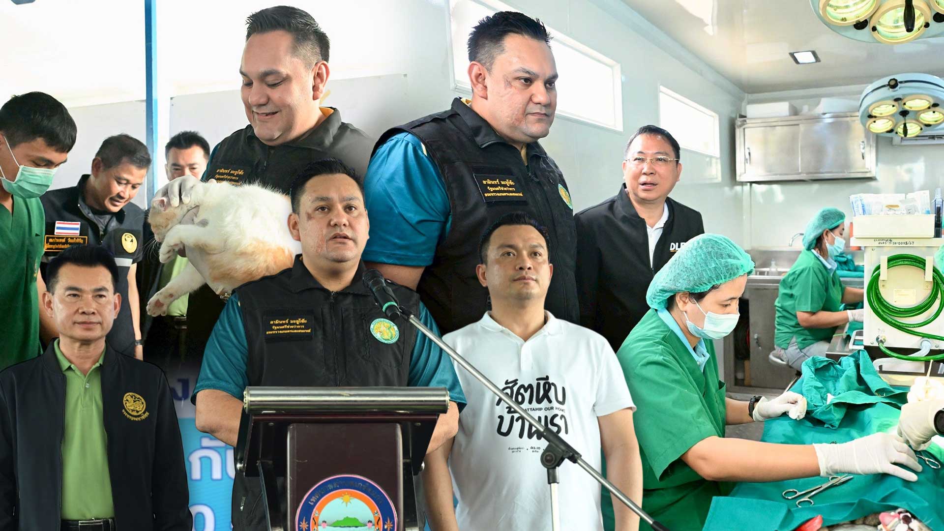 เดินหน้าสัตว์ปลอดโรค คนปลอดภัย “รมช.อามินทร์” ลุย ชลบุรี เร่งทำหมัน-ฉีดวัคซีนสุนัขแมว คุมโรคพิษสุนัขบ้า ตั้งเป้าขยายผลอีก 30% 1 ลุย ชลบุรี3