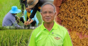 ศูนย์เมล็ดพันธุ์ข้าวอุบลฯ3