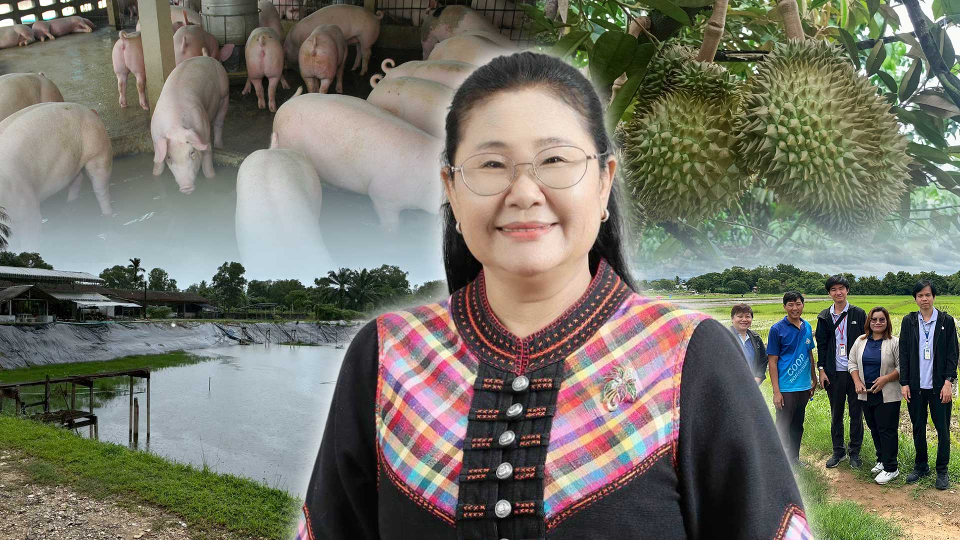 สศก.ชี้โครงการยกระดับมาตรฐานฯ ดันมูลค่าสินค้าเกษตรปลอดภัยเพิ่มขึ้นเกือบ 20% 1 สศกชี้โครงการยกระดับ3