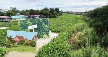 สุดลูกหูลูกตา2