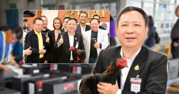 ส่งออกไก่พื้นเมืองไทย2