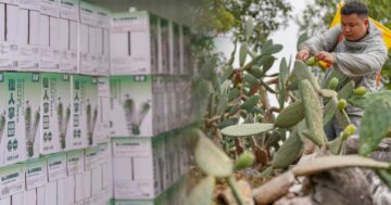 หมู่บ้านในยูนนาน3