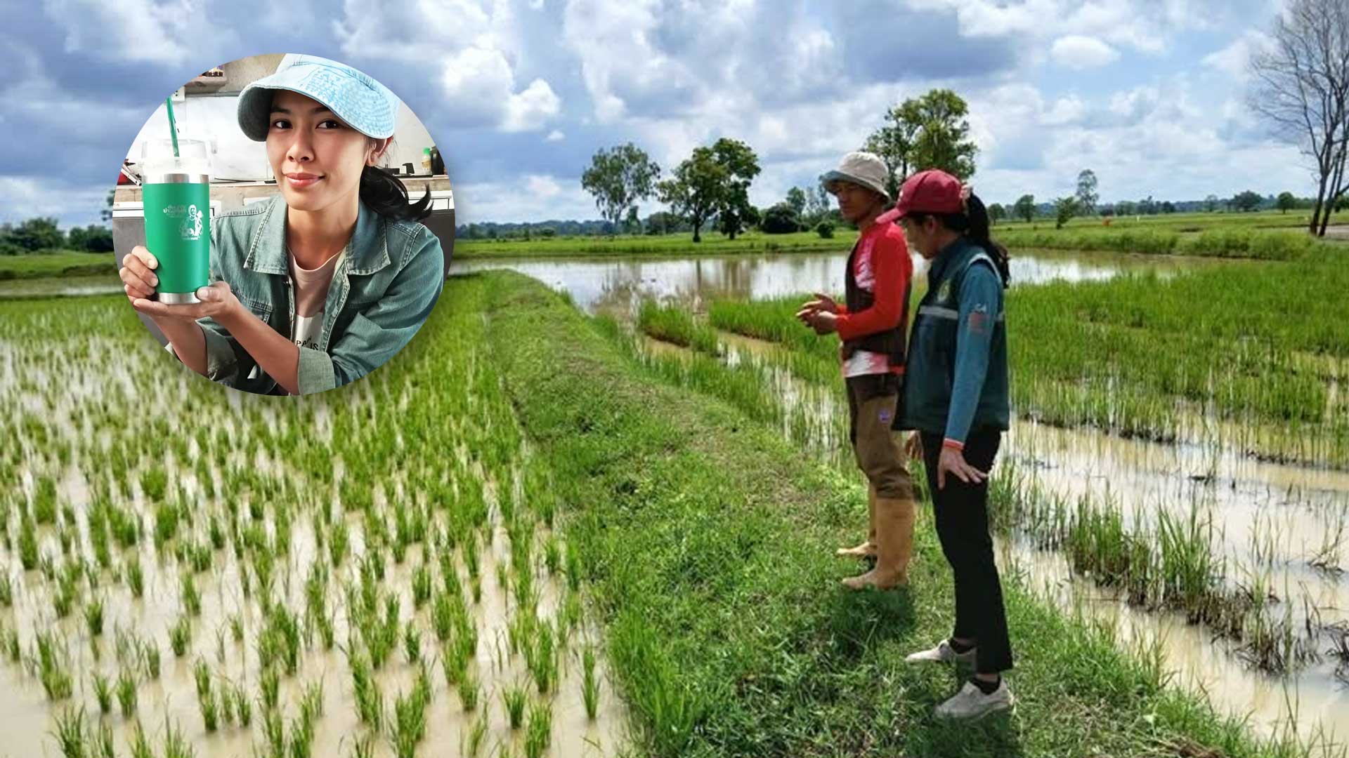 เกษตรอำเภอค้อวังยโสธร ส่งเสริม เกษตรอำเภอค้อวังยโสธร2