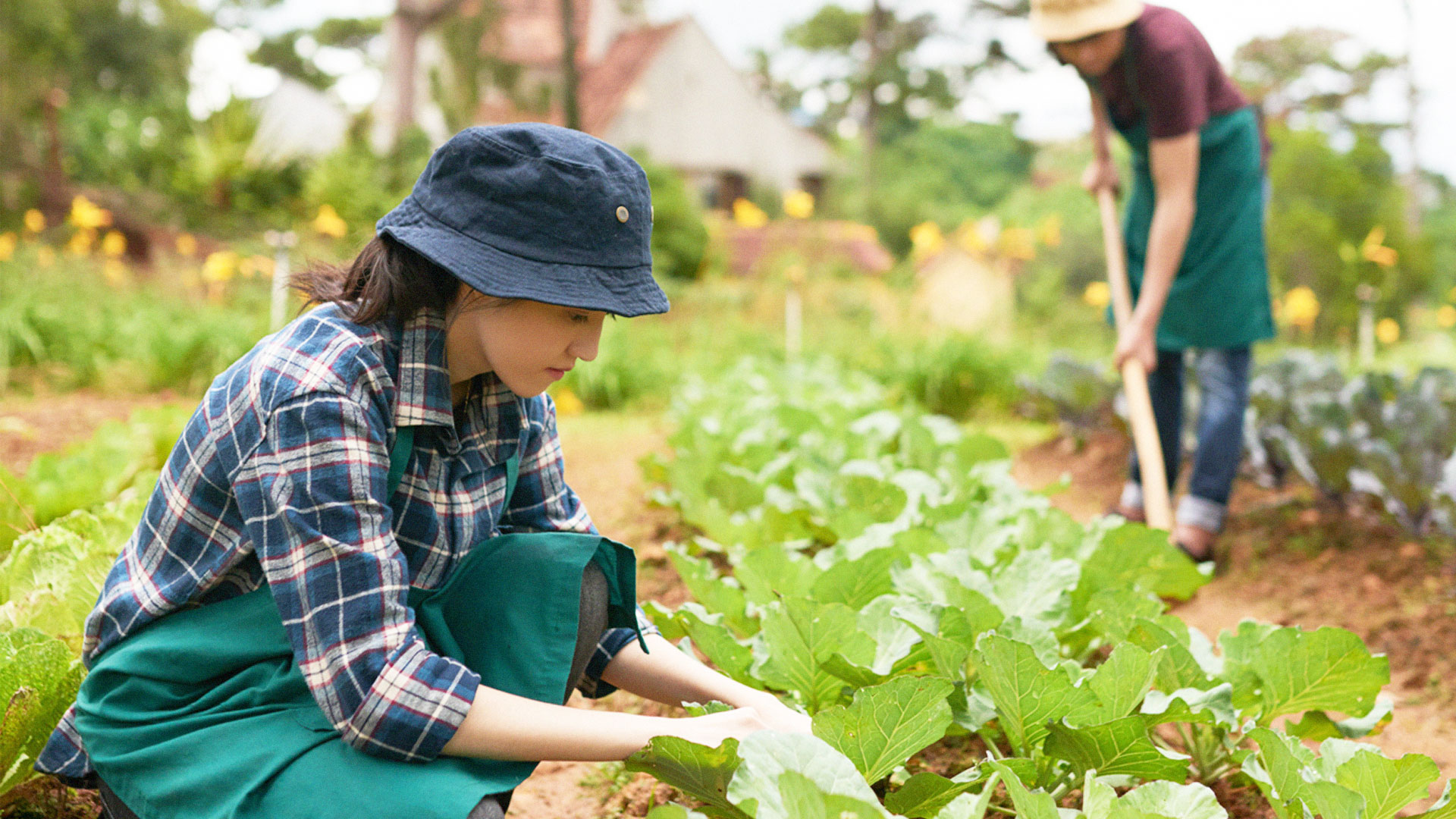 เปิดหลักเกณฑ์ความช่วยเหลือจากภาครัฐกรณีเกษตรกรประสบภัยพิบัติด้านการเกษตร 1 เปิดหลักเกณฑ์ช่วยเหลือ 2