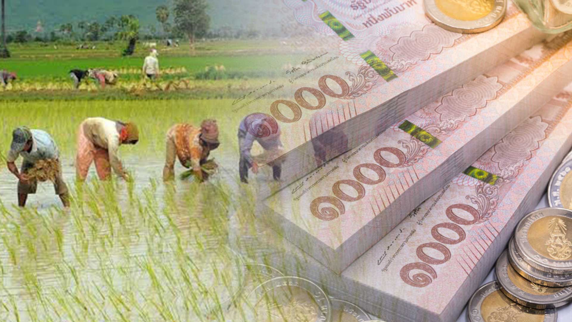 เปิดไทม์ไลน์ ธ.ก.ส. โอนเงินไร่ละพัน ให้เกษตรกร วันนี้เริ่มต้น 769,461 ราย เป็นเงิน 6,280 ล้านบาท 1 เปิดไทม์ไลน์3