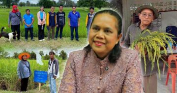 เมล็ดพันธุ์คุณภาพดี3