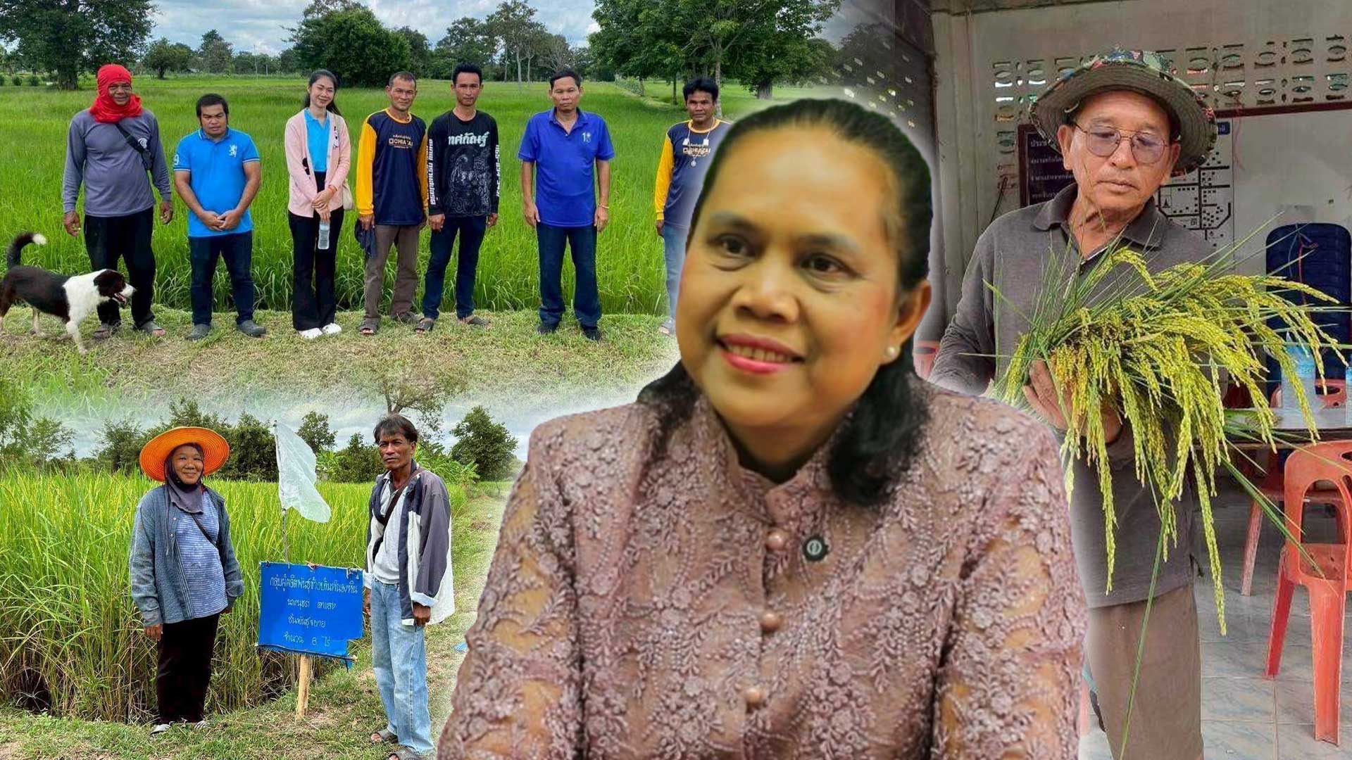 เมล็ดพันธุ์คุณภาพดี ลดต้นทุน เพิ่มผลผลิต ตอบโจทย์ตลาดโลก 1 เมล็ดพันธุ์คุณภาพดี3