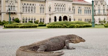 เรื่องของเหี้ย3