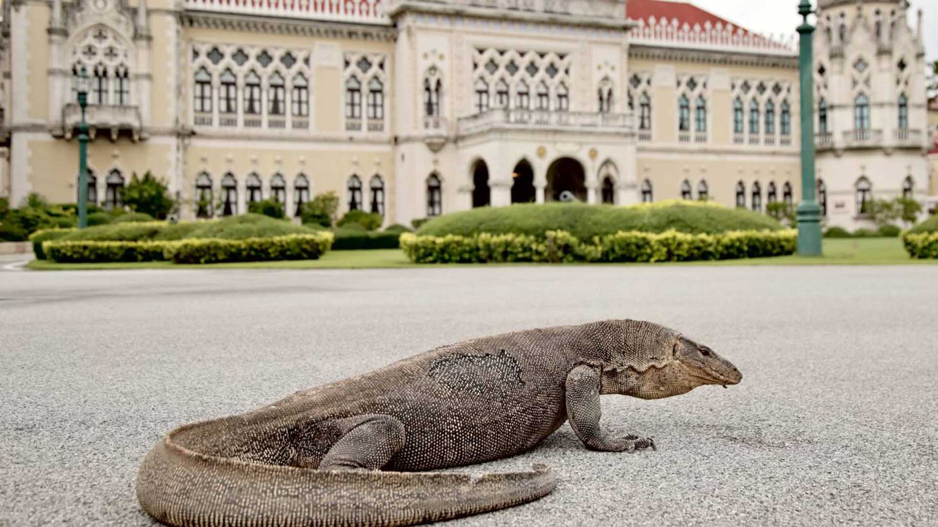 เรื่องของ เรื่องของเหี้ย3