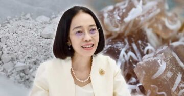 แป้งแห้วนาหนองกุลาพิษณุโลก3