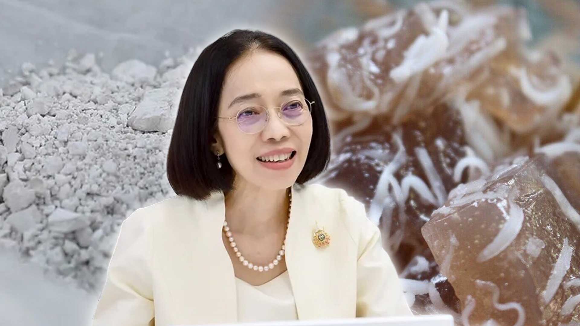 แป้งแห้วนาหนองกุลาพิษณุโลก3