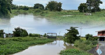 โพธิ์พระยา สุพรรณฯ3