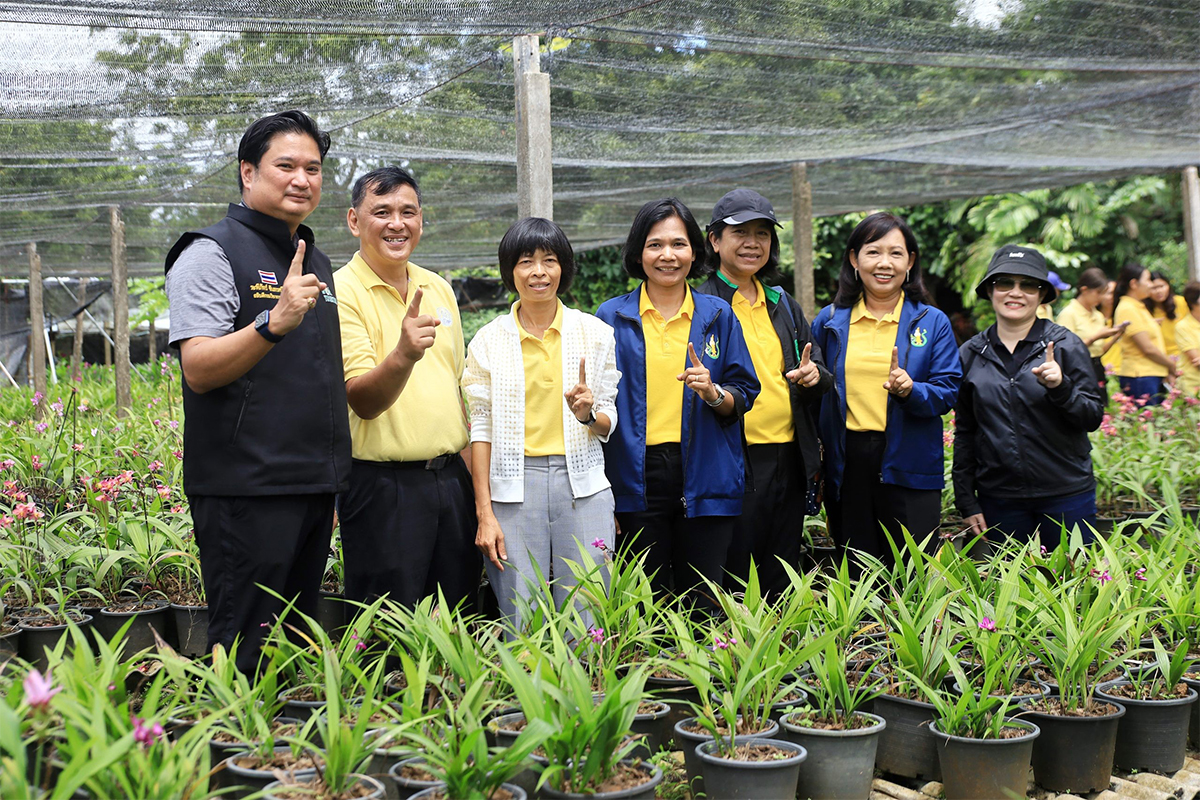 กรมวิชาการเกษตร อวดโฉมกล้วยไม้ดินใบหมาก 2 พันธุ์ใหม่2 สี 2 ขนาด ออกดอกไว จำหน่ายได้เร็วกว่าพันธุ์การค้า 3 013