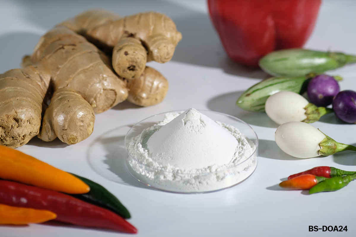 กรมวิชาการเกษตร ขยายผลงานวิจัยเชิงพาณิชย์ เปิดโผ 3 ปุ๋ยตัวท็อป เอกชนชิงรับถ่ายทอดเทคโนโลยีมากสุด 7 02 BS DOA24